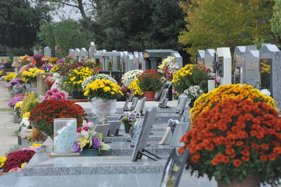 Fleurs déposées sur des tombes