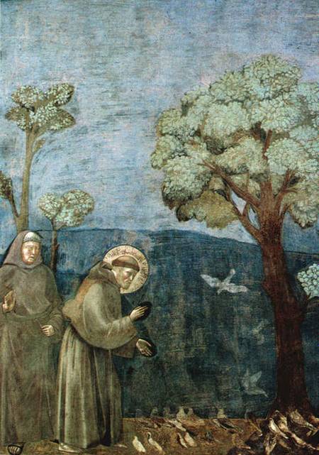 François d'Assise prêchant aux oiseaux, de Giotto