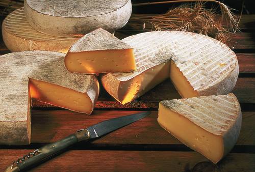 Le fromage Saint Nectaire